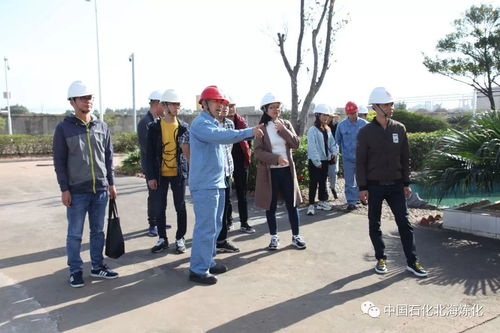 走綠色發展之路，樹環保標桿企業——環境保護監測的核心使命與實踐路徑